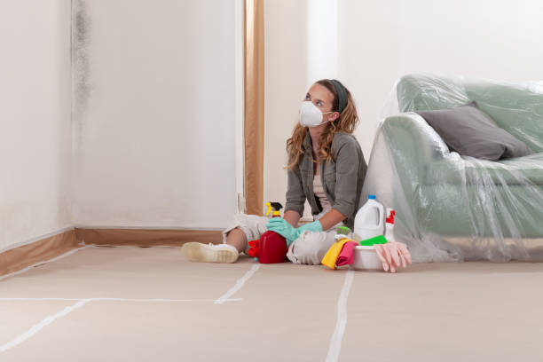 Reliable Mold Remediation contractor in Goldsboro, MD by Cheap Mold Removal